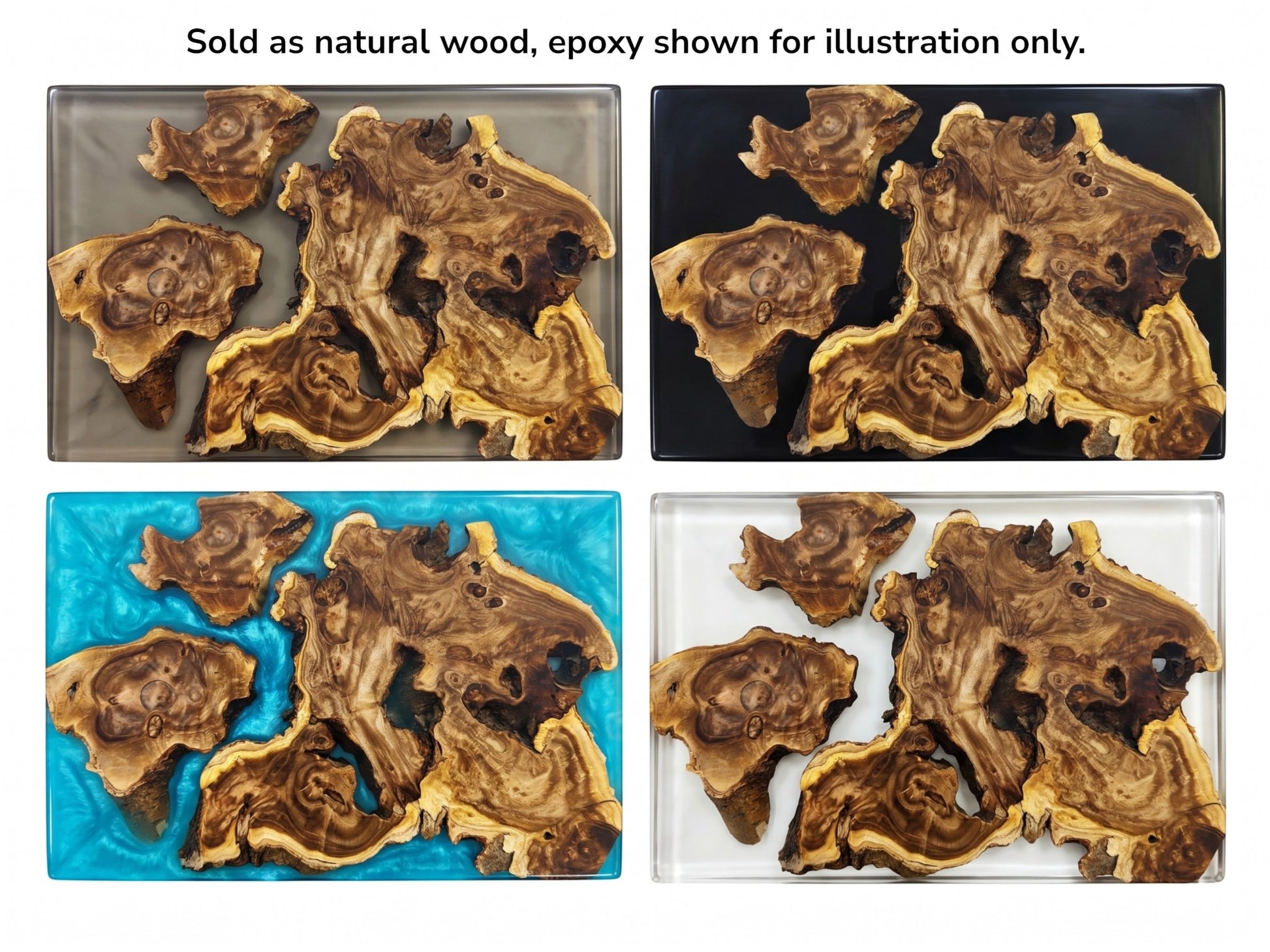 Four Japanese Pagoda Tree wood slices displayed in four different epoxy resin colors.