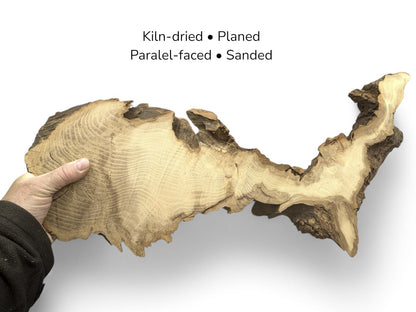Informational graphic shows an irregular black locust root wood slice, held by a hand, with preparation steps.