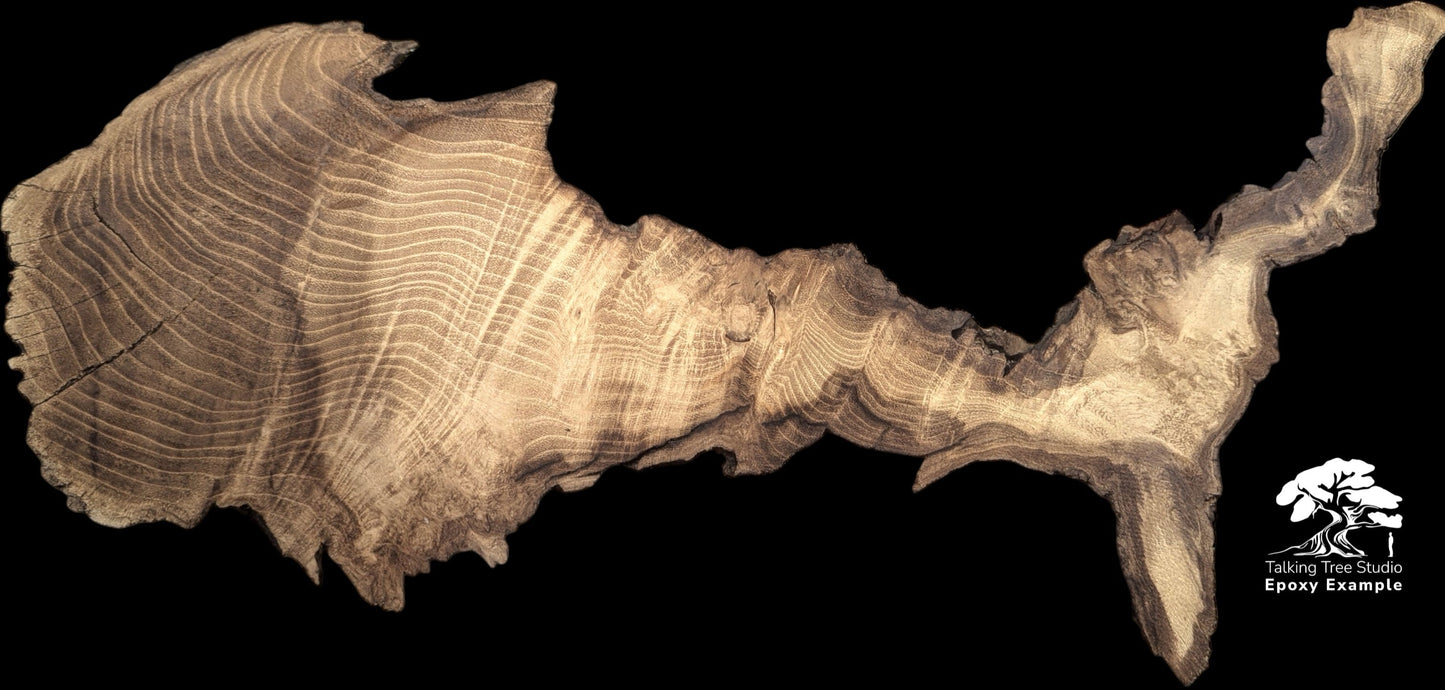 Untreated, irregular black locust root wood slice with prominent wavy grain and natural live edges.