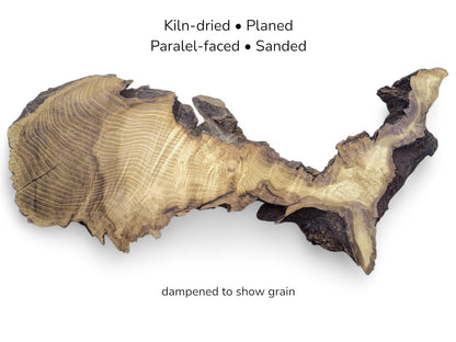 Irregular wood slice displaying visible golden growth rings and dark bark edges with descriptive text overlays.