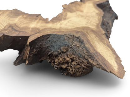 Irregular black locust root wood slice displaying light brown wavy grain, dark bark, and rough natural edges.