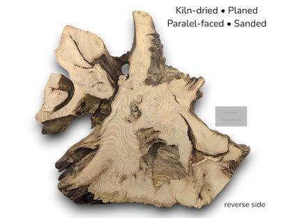 An irregular black locust root wood slice, kiln-dried, planed, parallel-faced, sanded. Text notes details.