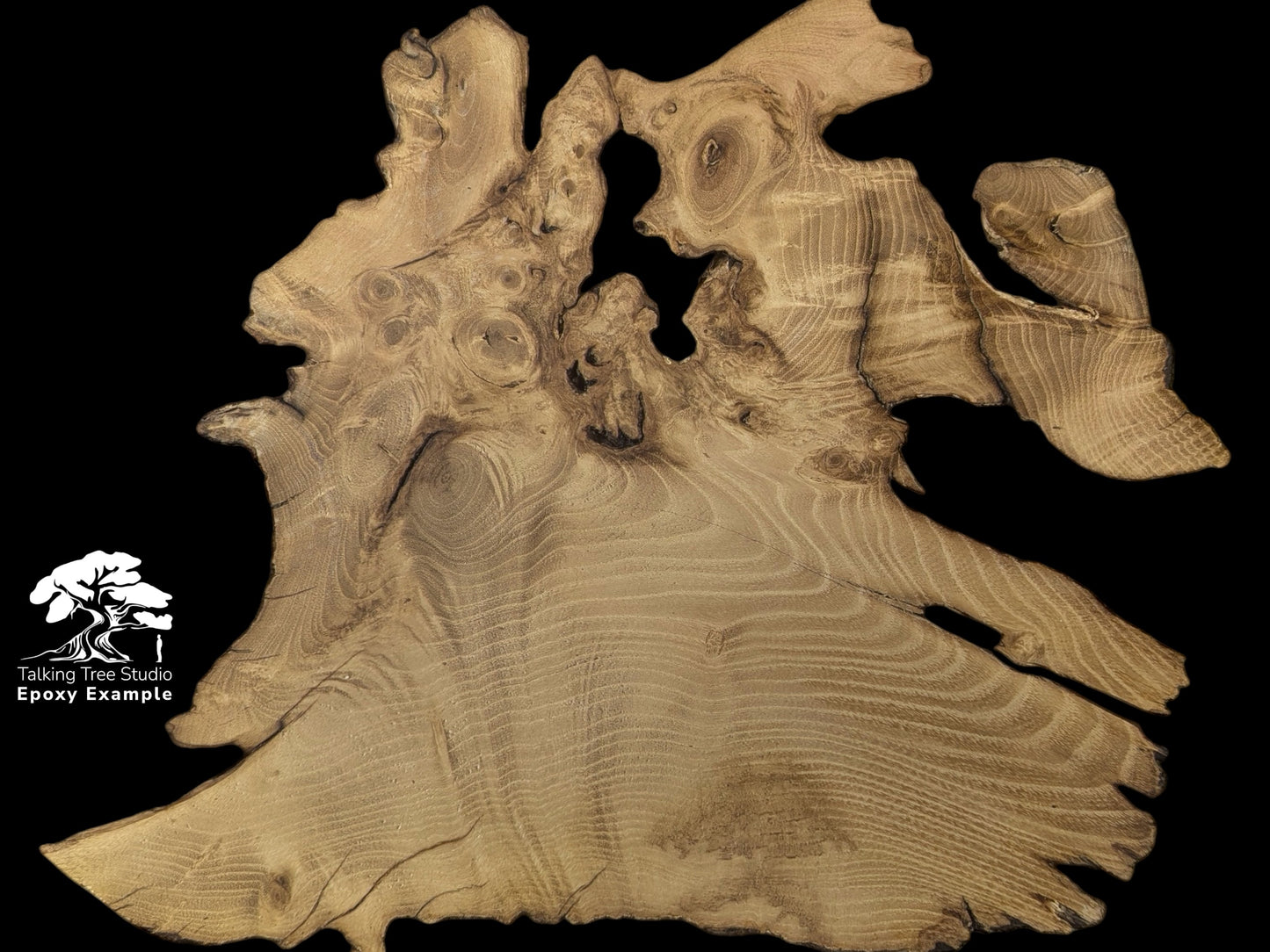 Irregular, planed, sanded black locust root wood slice with 'Talking Tree Studio Epoxy Example' logo.
