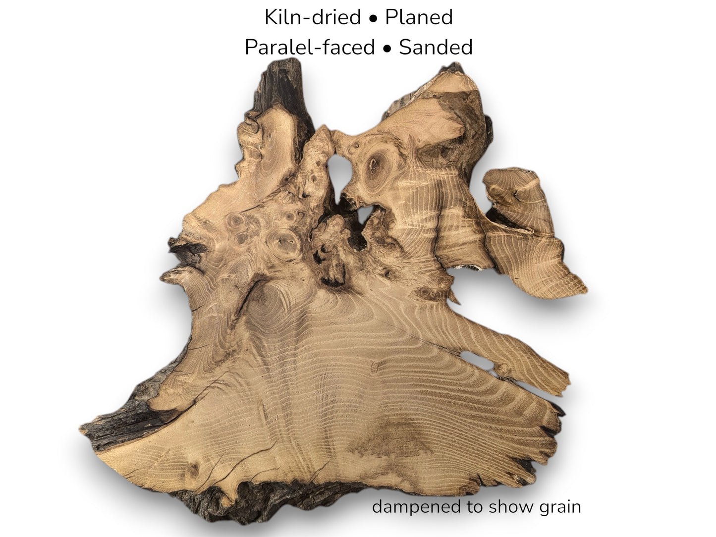 Image with text details showing an irregular black locust root slice with distinct light brown grain.