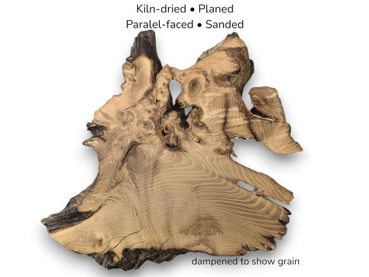 Image with text details showing an irregular black locust root slice with distinct light brown grain.