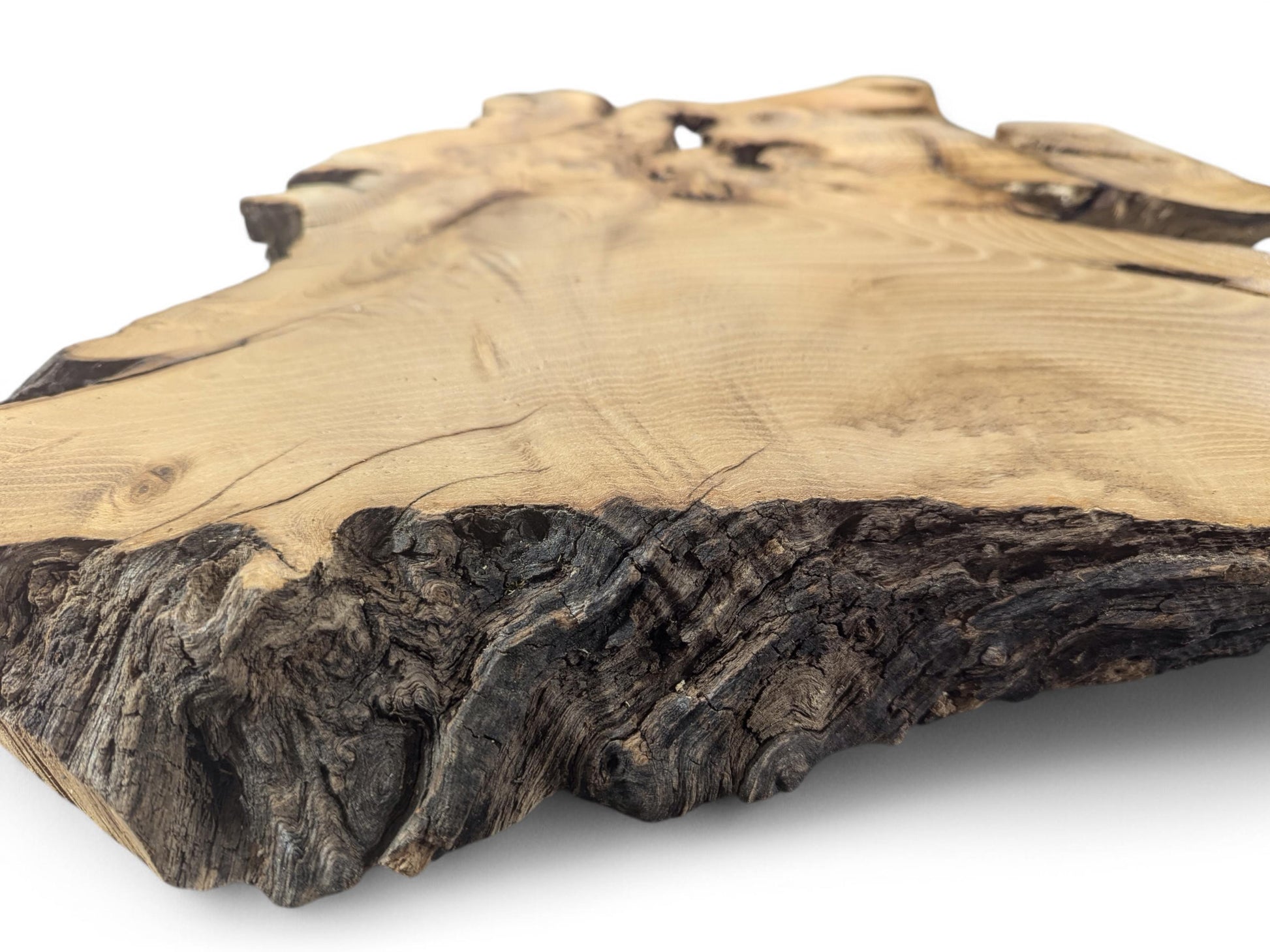 Light brown, irregular black locust root wood slice, planed, with visible grain and dark, textured live edge.
