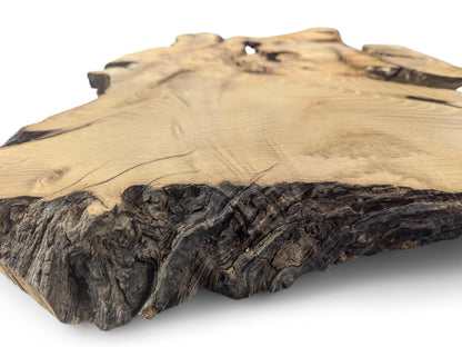 Light brown, irregular black locust root wood slice, planed, with visible grain and dark, textured live edge.