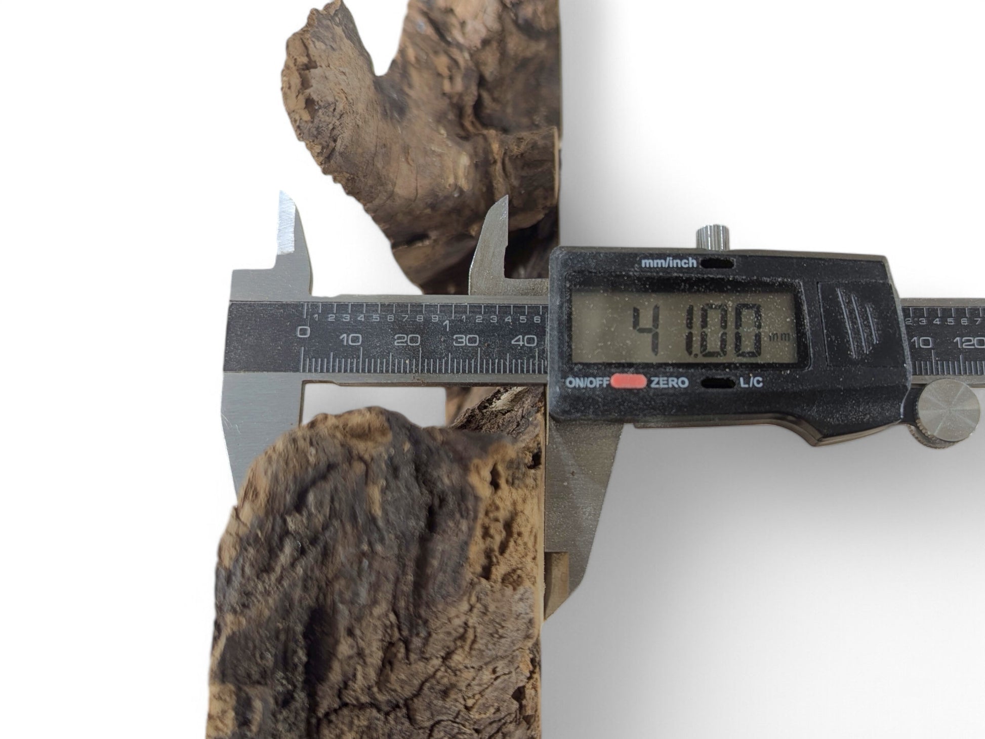 Digital caliper measures rough, dark brown bark of a black locust root slice, showing 4.100 mm.