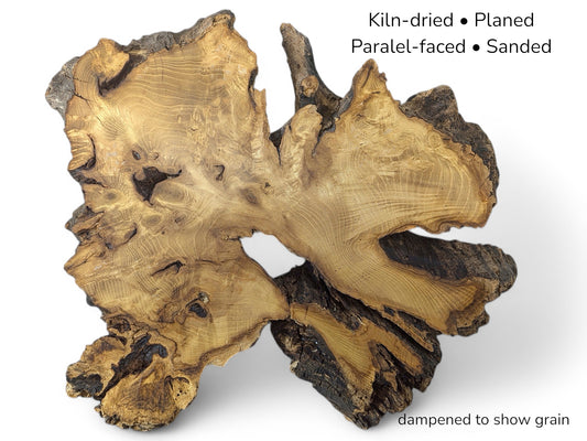 Golden-brown root wood slice featuring distinct growth rings and rough bark, with text listing preparation details.