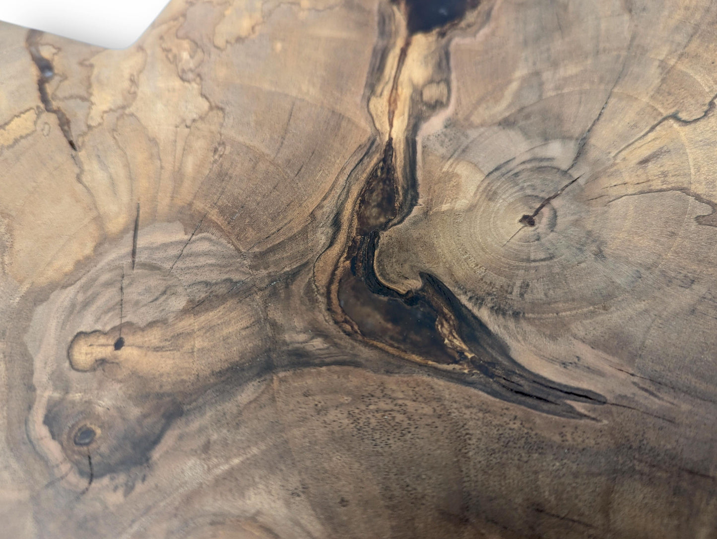 Close-up of natural wood with intricate swirling grain, prominent dark knots, concentric rings, and fine cracks.