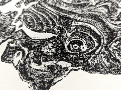 Hand-pulled monoprint of a tree root impression with raised black, swirling organic patterns on white paper.