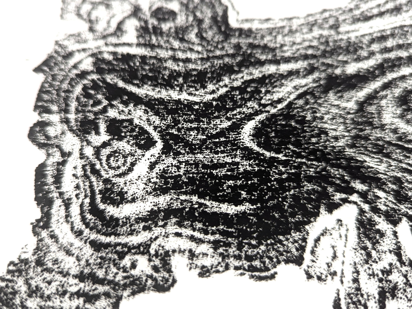 Textured black and white monoprint depicting an organic tree root slice impression with swirling wood grain patterns.