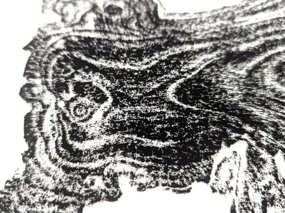 Textured black and white monoprint depicting an organic tree root slice impression with swirling wood grain patterns.