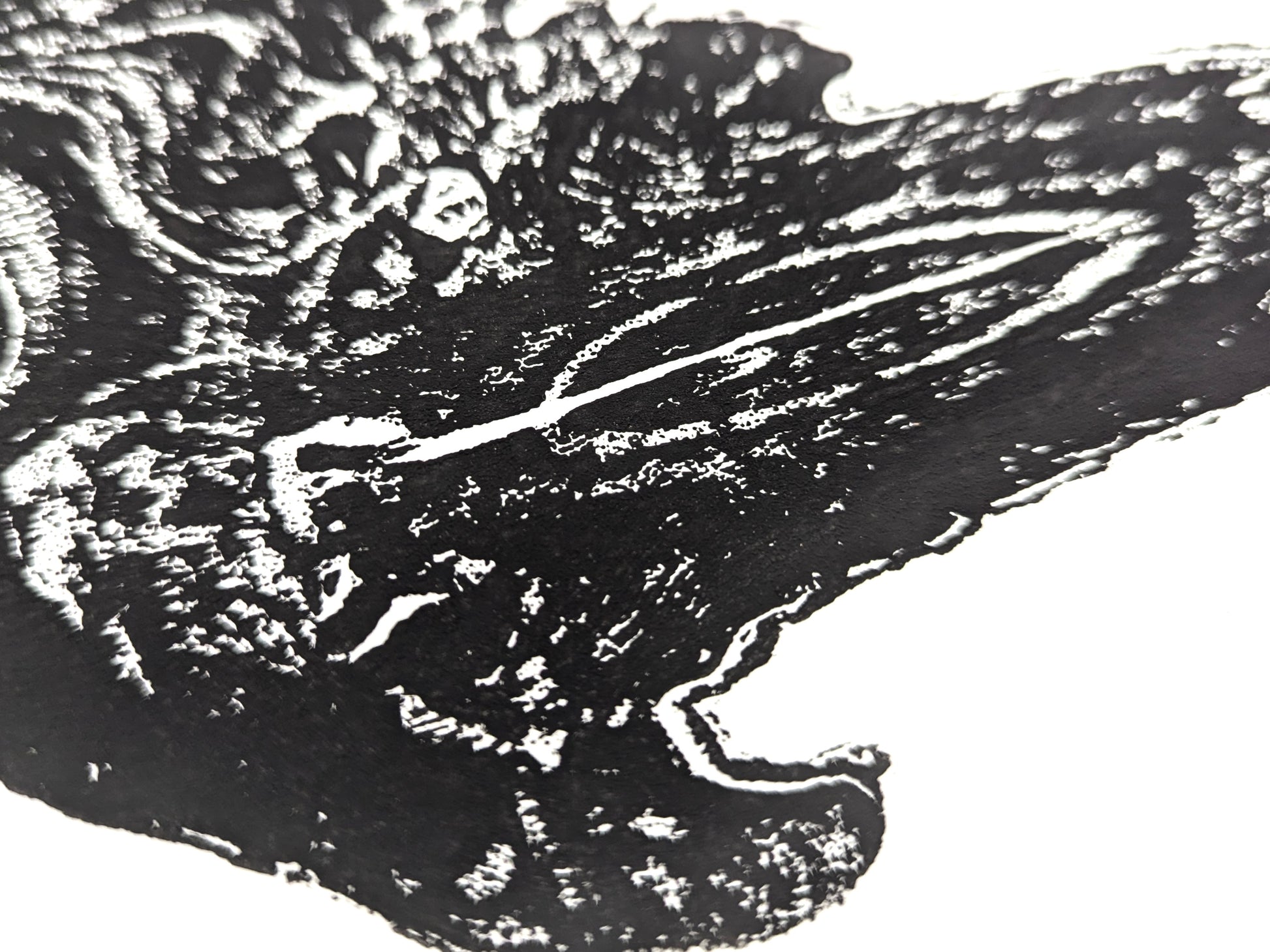 Close-up of a black and white monoprint showing an irregular, textured tree root impression on white paper.