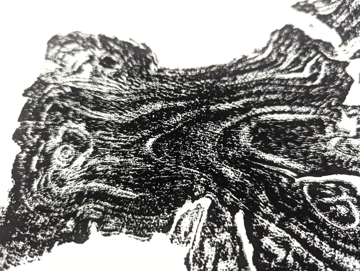 Detailed black monoprint of an irregular tree root impression with fine textured grain patterns on white paper.