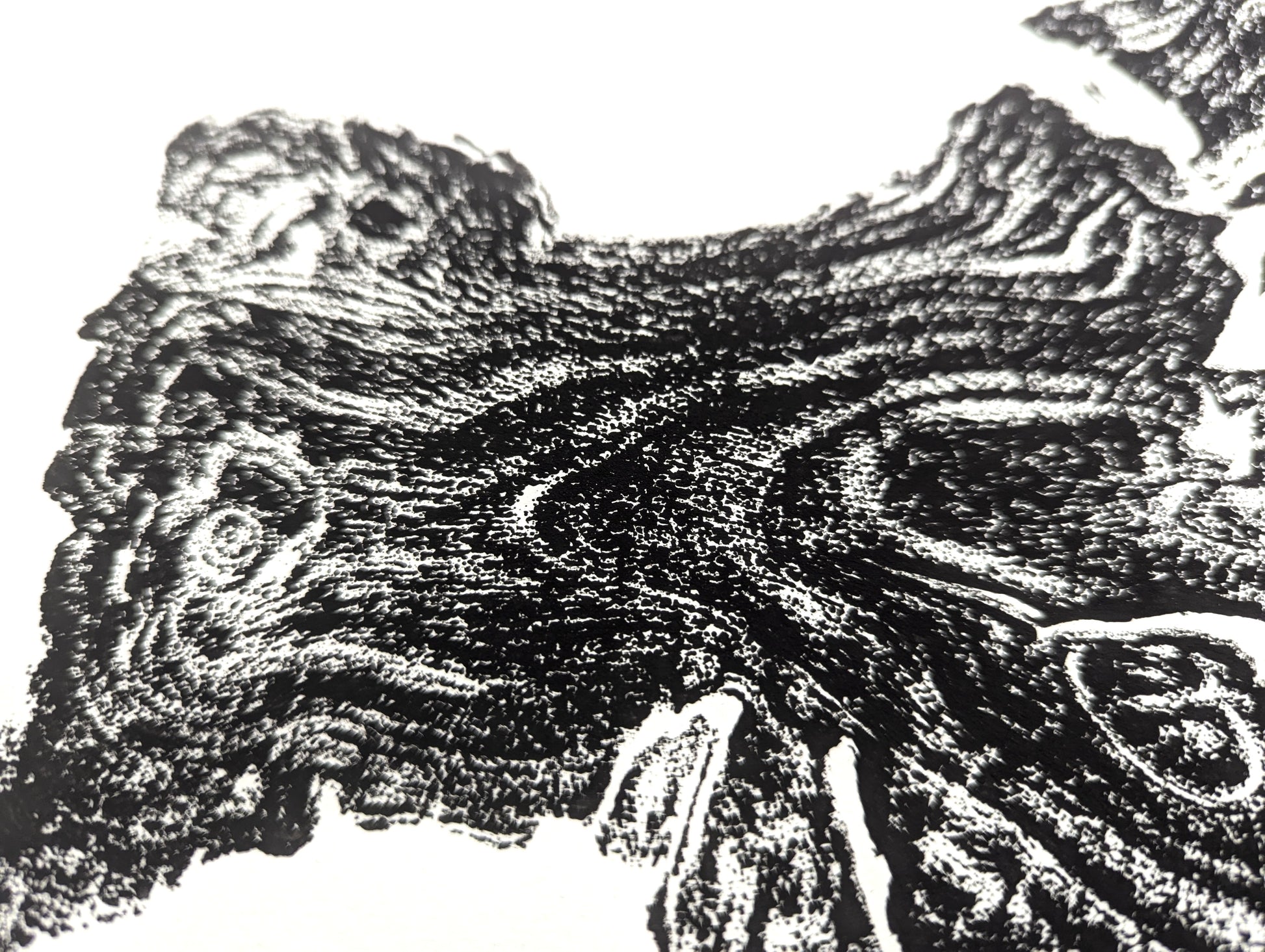 Detailed black monoprint of an irregular tree root impression with fine textured grain patterns on white paper.