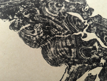 Black woodcut monoprint of a tree root slice impression, with detailed organic swirls on light beige paper.