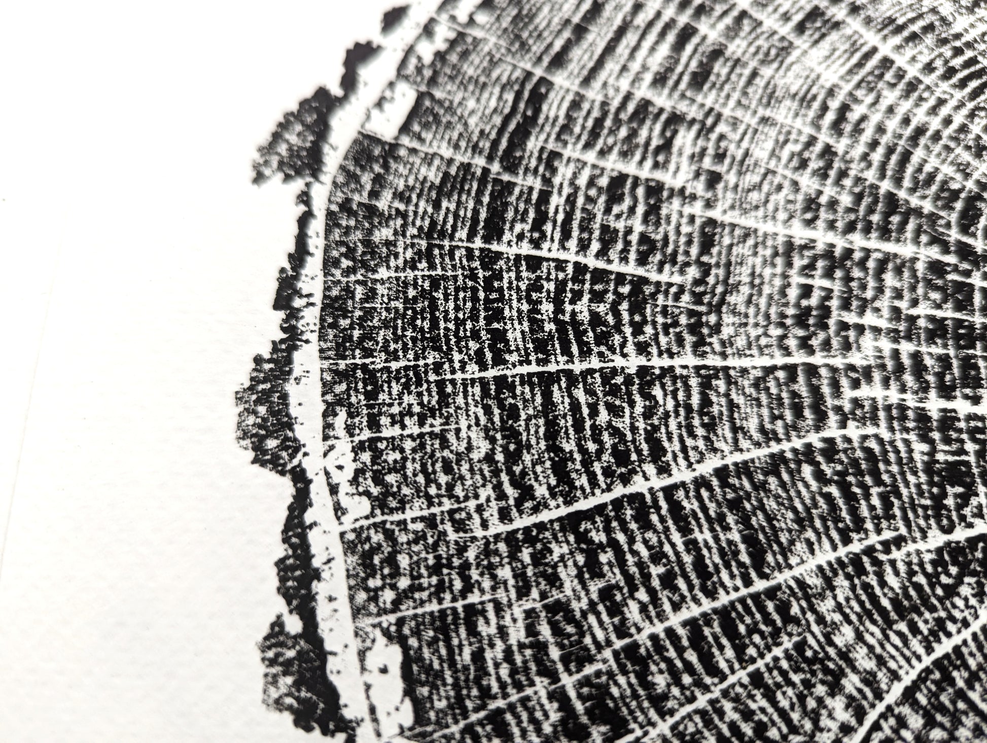 Close-up of a black woodcut print showing tree rings with textured bark edge on white paper.