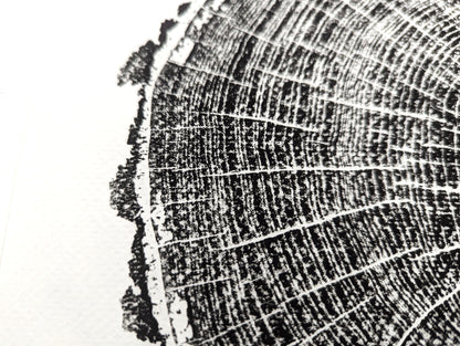 Close-up of a black woodcut print showing tree rings with textured bark edge on white paper.