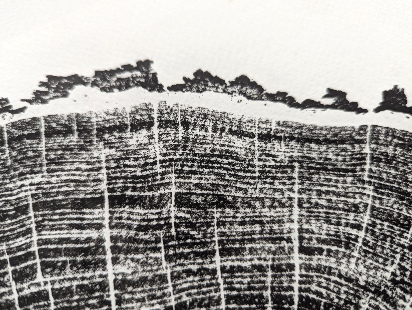 Black ink impression on white paper showing textured tree rings, radial lines, and a coarse, irregular edge.