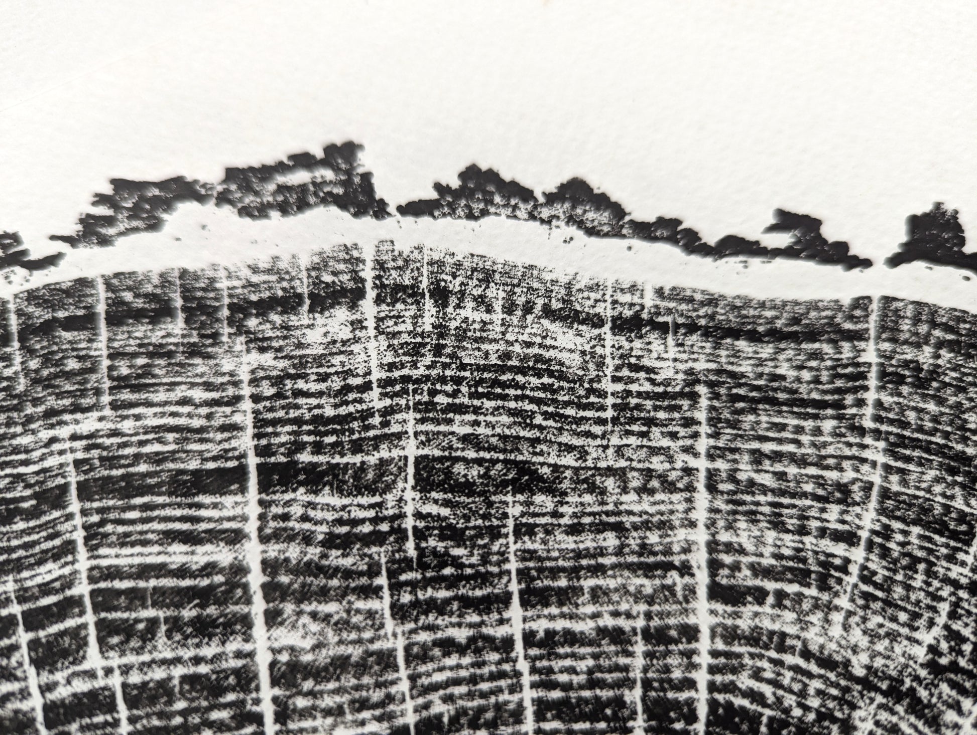 Black ink impression on white paper showing textured tree rings, radial lines, and a coarse, irregular edge.