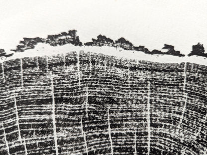 Black ink impression on white paper showing textured tree rings, radial lines, and a coarse, irregular edge.
