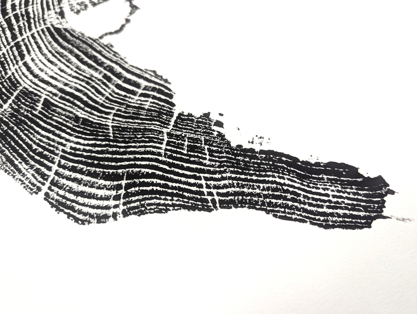 This black and white monoprint displays a textured, irregular tree root slice impression with concentric growth rings.