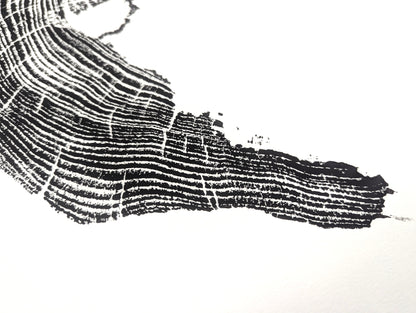 This black and white monoprint displays a textured, irregular tree root slice impression with concentric growth rings.