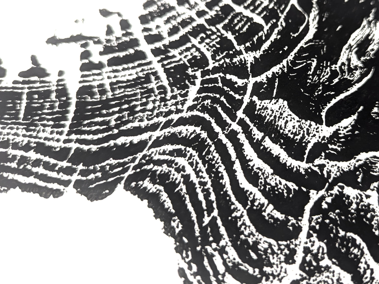 Organic black ink patterns on white paper reveal a textured tree root slice impression.