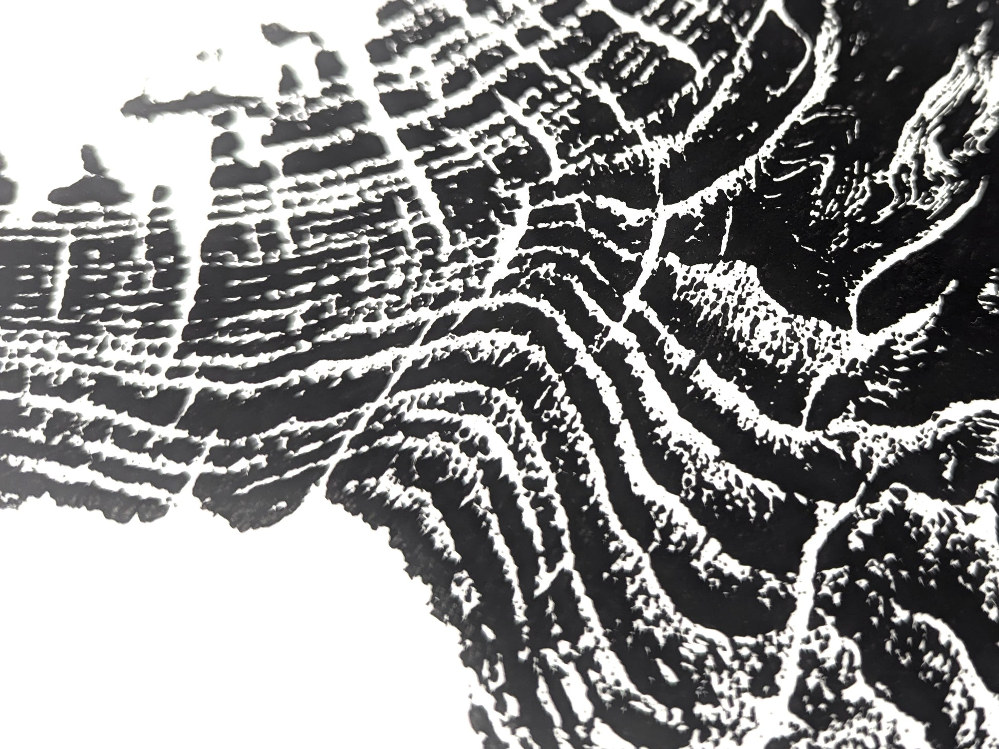 Organic black ink patterns on white paper reveal a textured tree root slice impression.