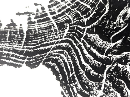 Organic black ink patterns on white paper reveal a textured tree root slice impression.
