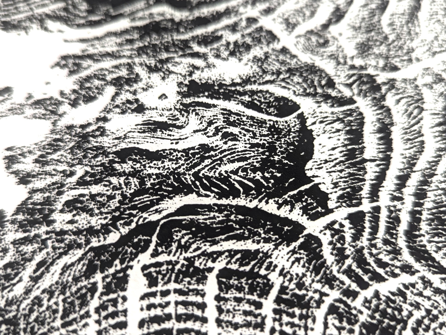 Detailed view of a black and white monoprint with textured organic patterns from a tree root impression.