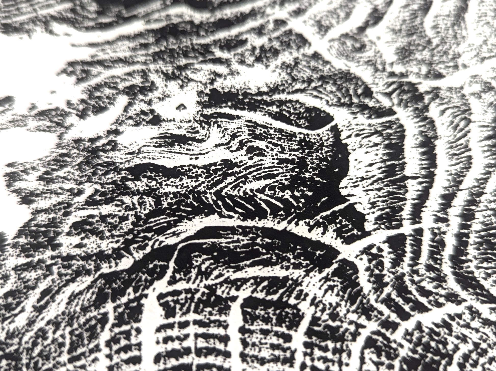 Detailed view of a black and white monoprint with textured organic patterns from a tree root impression.
