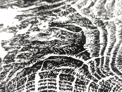 Detailed view of a black and white monoprint with textured organic patterns from a tree root impression.