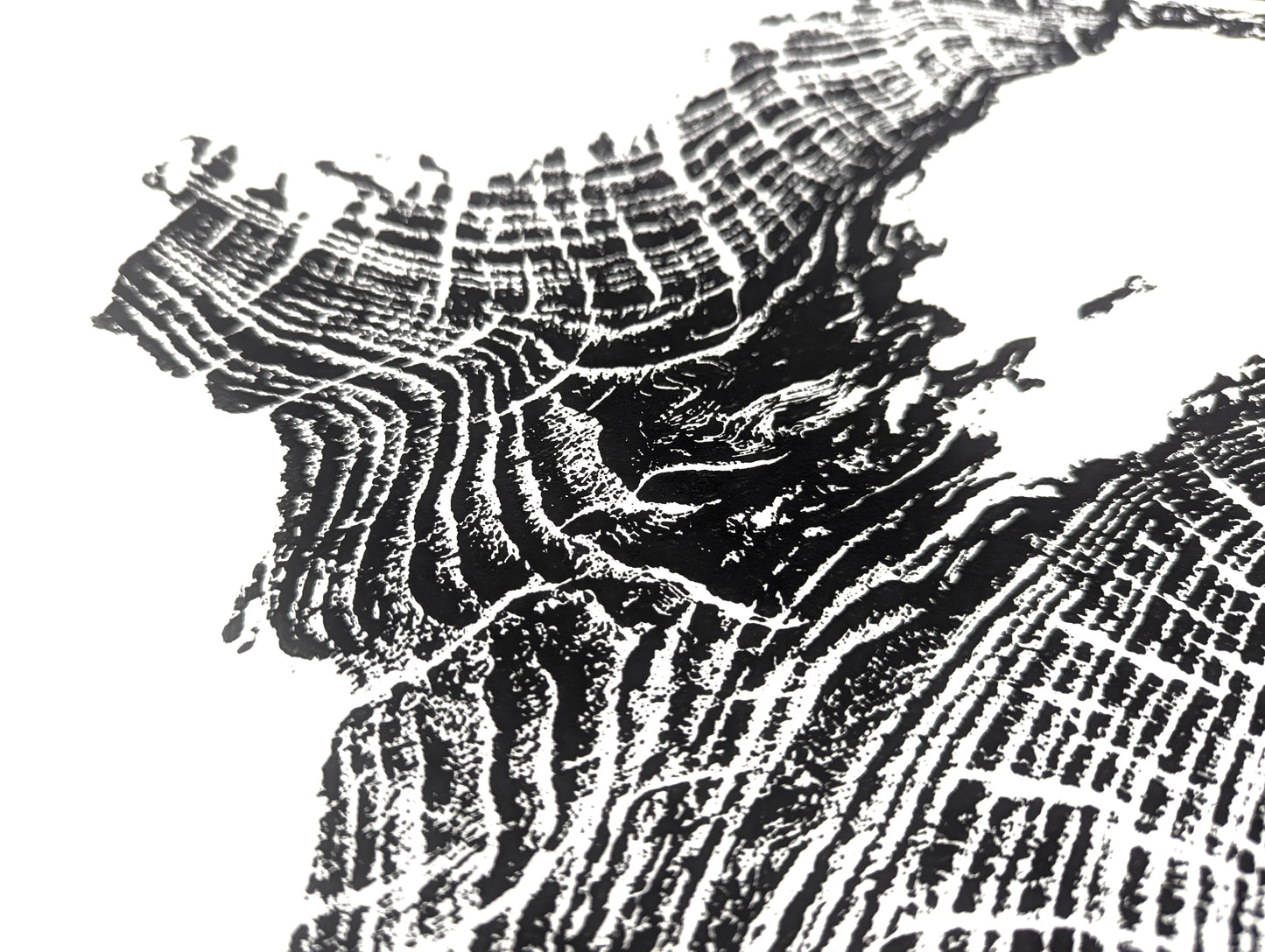 Detailed view of a black and white tree root impression monoprint with textured, irregular concentric patterns.