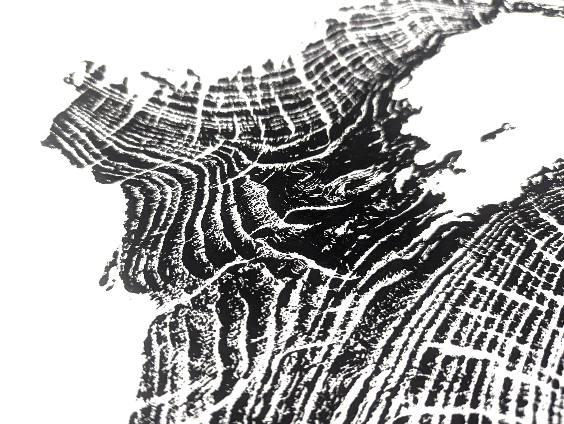 Detailed view of a black and white tree root impression monoprint with textured, irregular concentric patterns.