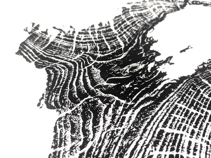 Detailed view of a black and white tree root impression monoprint with textured, irregular concentric patterns.