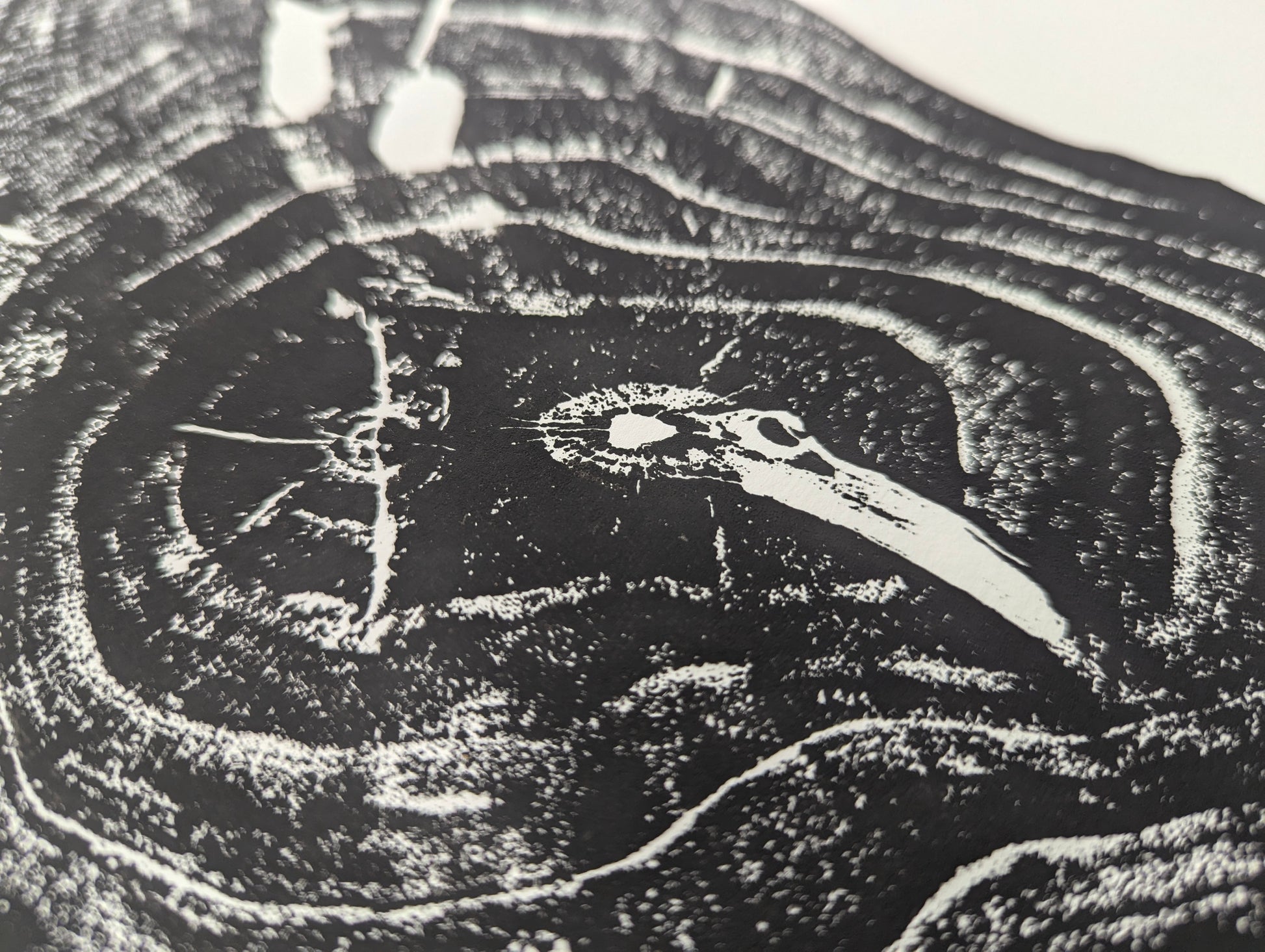 Monoprint on paper showing a textured black and white impression of irregular tree growth rings.