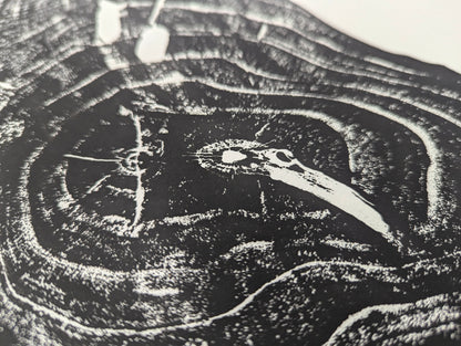 Monoprint on paper showing a textured black and white impression of irregular tree growth rings.