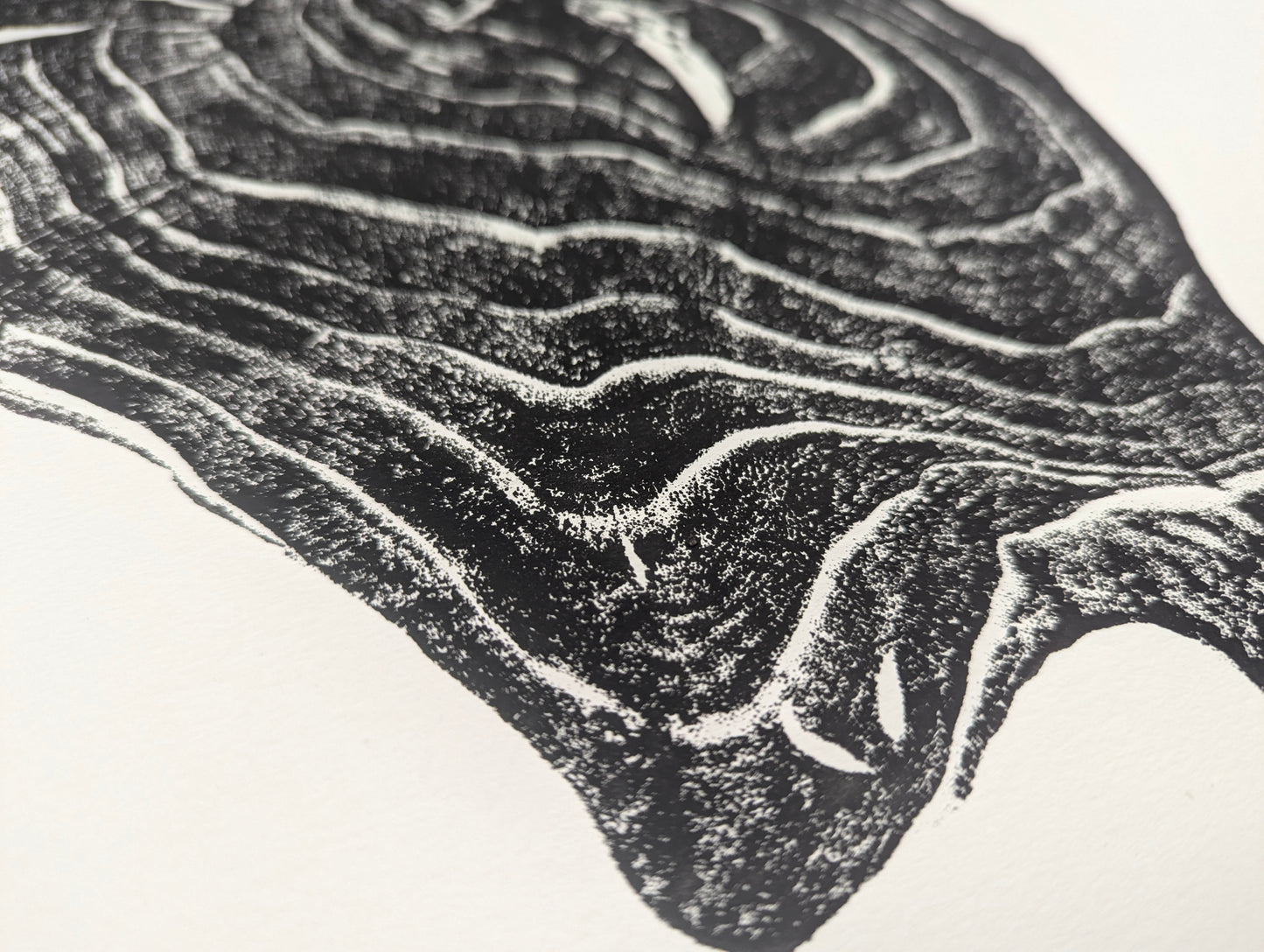 Textured black and white monoprint of a tree root slice impression, displaying irregular concentric patterns on paper.