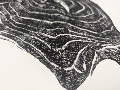 Textured black and white monoprint of a tree root slice impression, displaying irregular concentric patterns on paper.