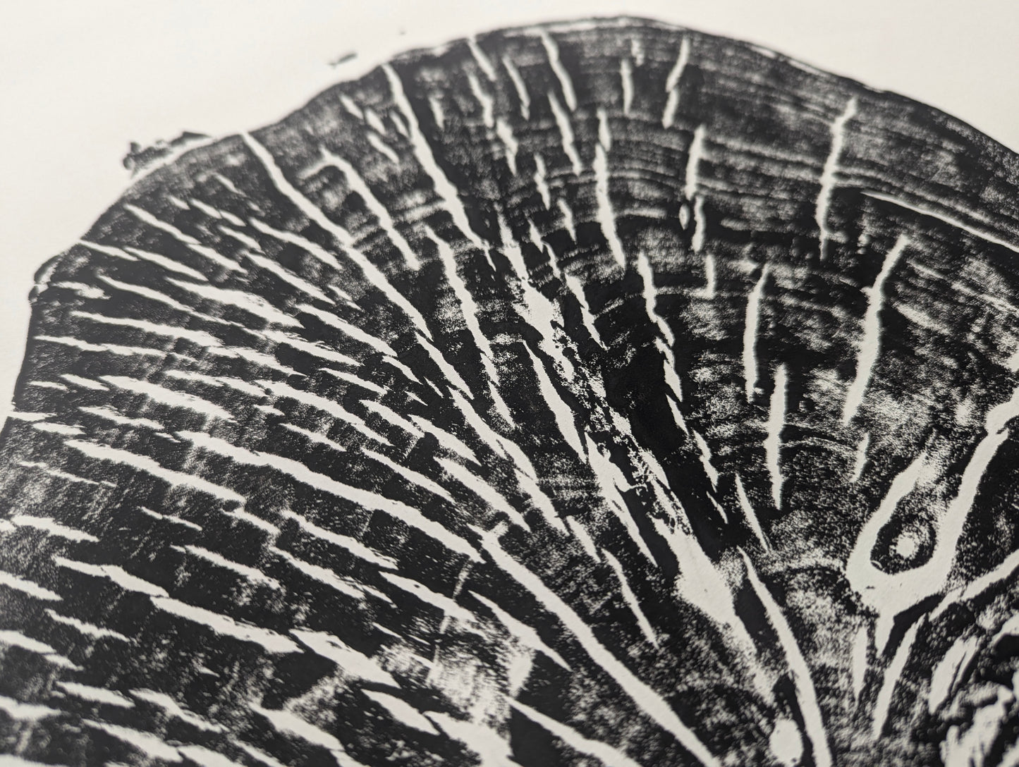Monoprint showing a detailed impression of wood grain texture, with bold black and white streaks.
