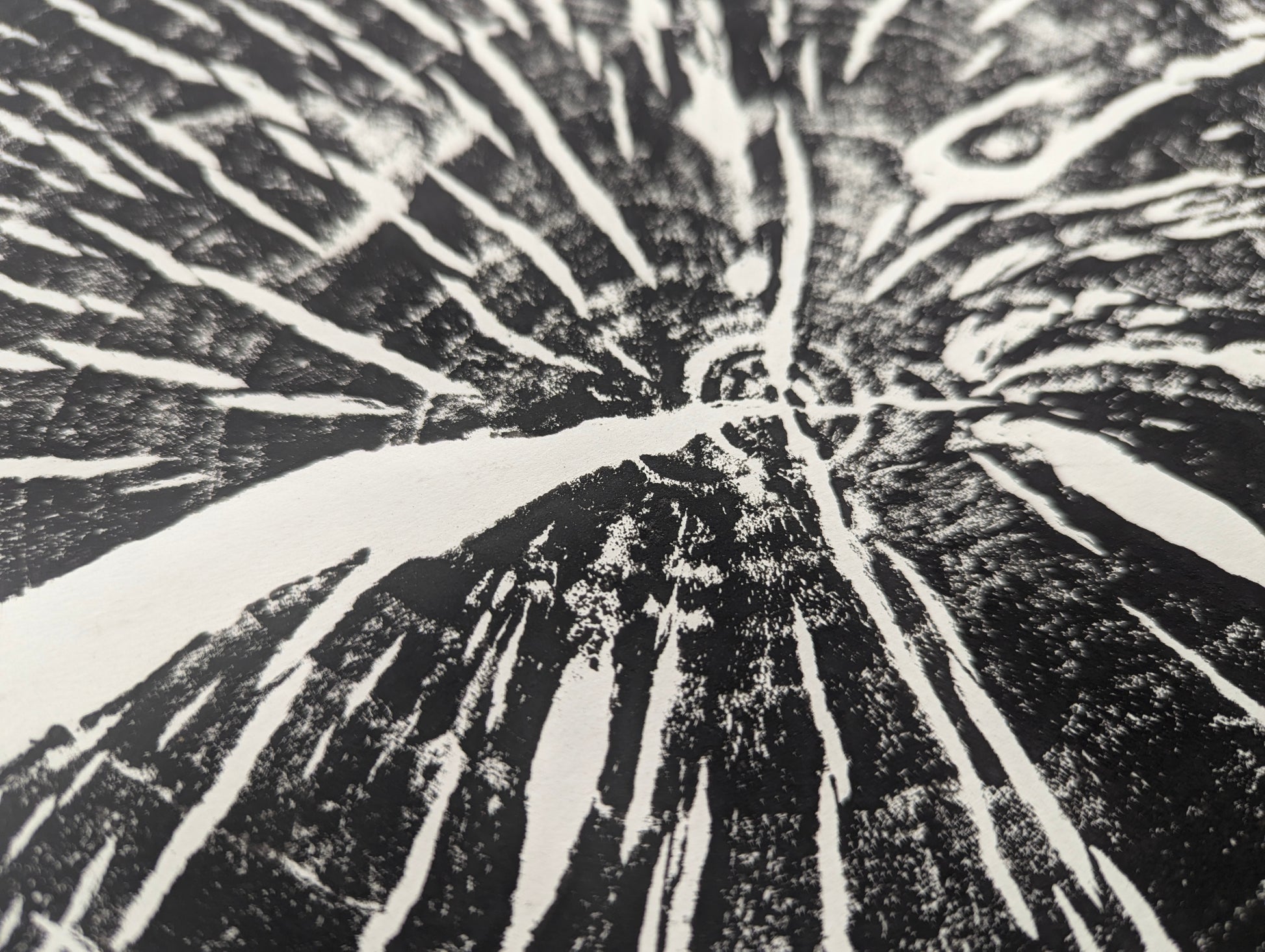 Angled close-up of a black and white print on paper, with textured dark areas and radiating white lines.