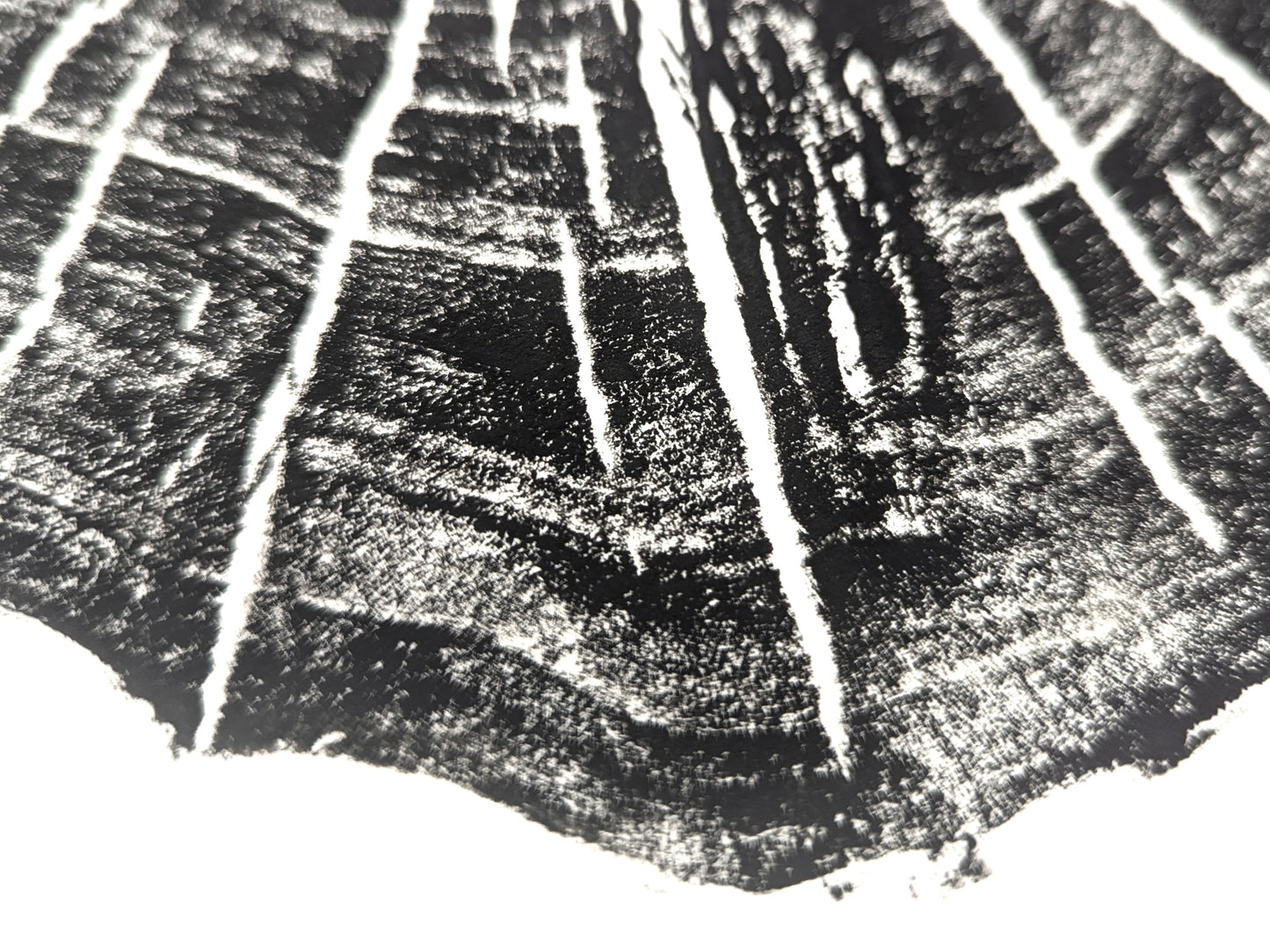 Close-up of a black and white print fragment, showing rough-textured dark lines and bright white concentric arcs.
