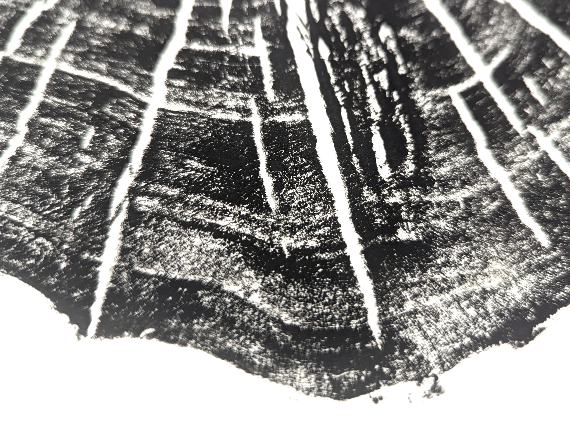 Close-up of a black and white print fragment, showing rough-textured dark lines and bright white concentric arcs.