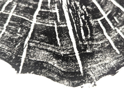 Close-up of a black and white print fragment, showing rough-textured dark lines and bright white concentric arcs.