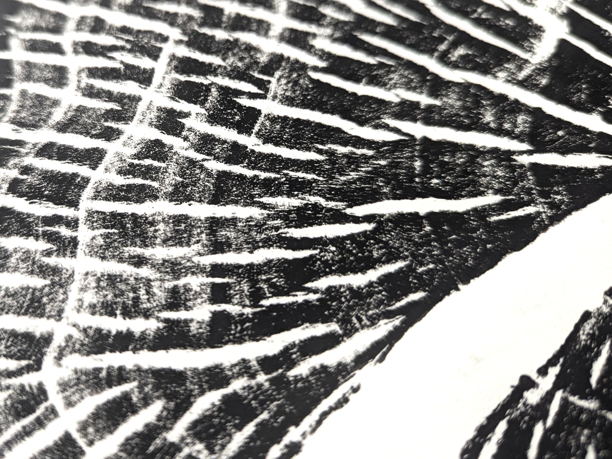 High-contrast black and white print shows granular dark sections with many irregular, branching white lines.