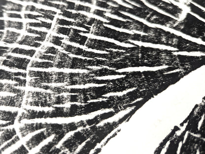 High-contrast black and white print shows granular dark sections with many irregular, branching white lines.
