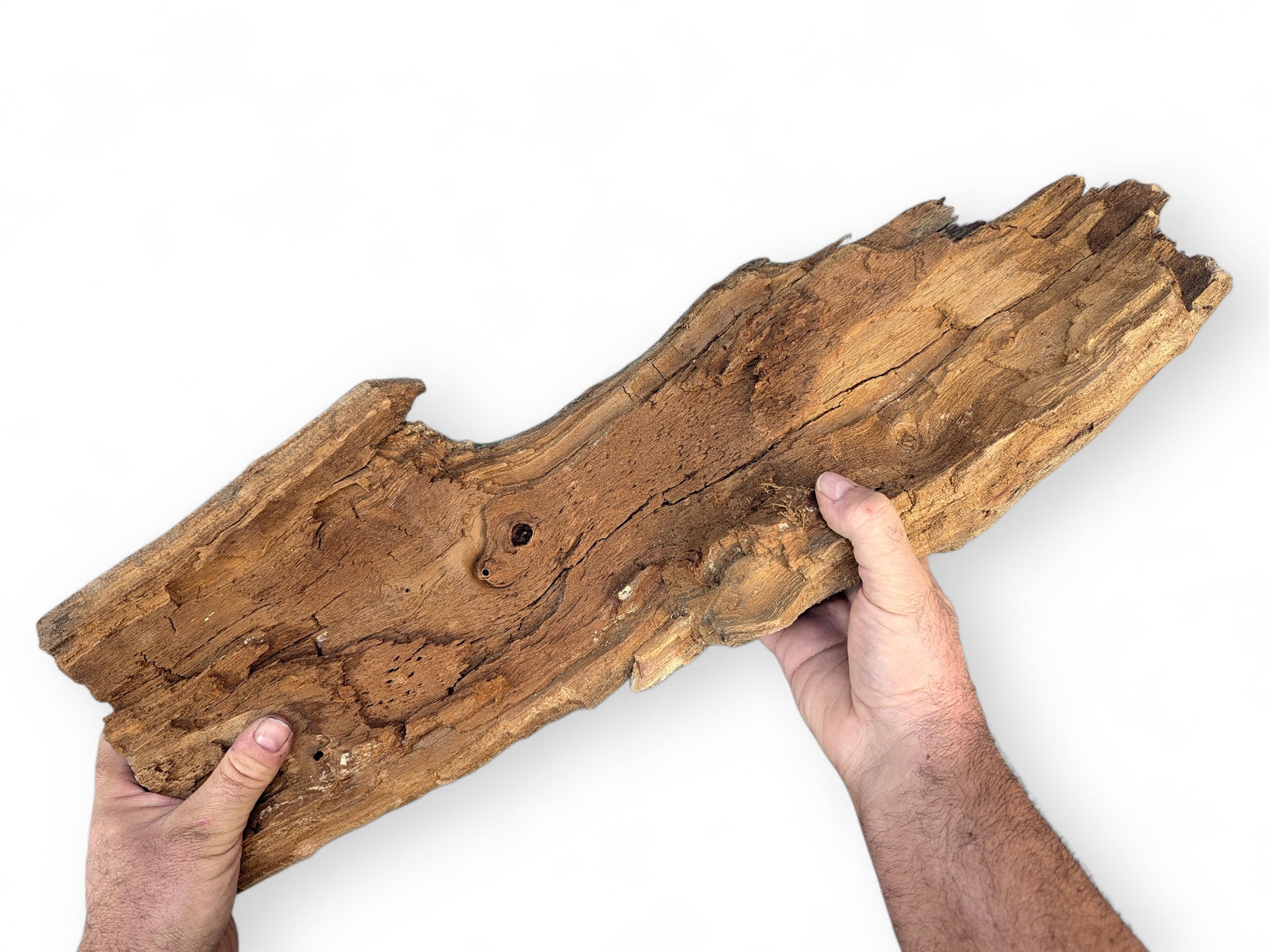 Two hands hold an aged, nature-shaped wood fragment with exposed grain, cracks, and some bark.