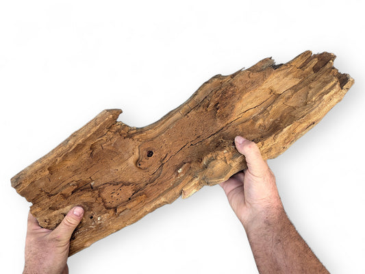 Two hands hold an aged, nature-shaped wood fragment with exposed grain, cracks, and some bark.